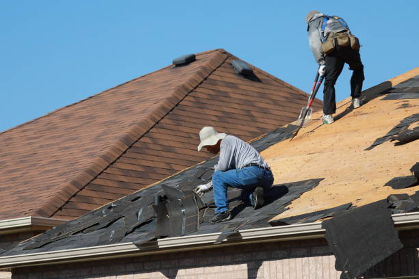 Best Sheet Metal Roofing  in Wheat Ridge, CO