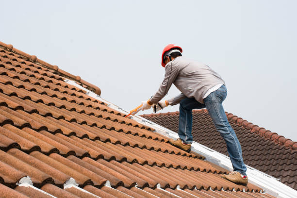 Sheet Metal Roofing in Wheat Ridge, CO
