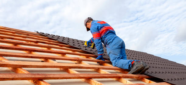 Best Rubber Roofing (EPDM, TPO)  in Wheat Ridge, CO