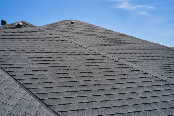 Best Sheet Metal Roofing  in Wheat Ridge, CO
